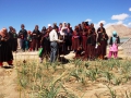 agriculture-and-food-ladakh-DSC02964