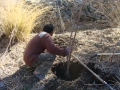 agriculture-and-food-processing-ladakh-05