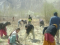 agriculture-and-food-processing-ladakh-07