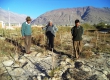 Field visits