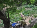hydrams-magmor-water-supply-for-vegetable