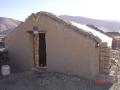 improved-green-houses-03