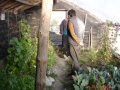 improved-green-houses-14